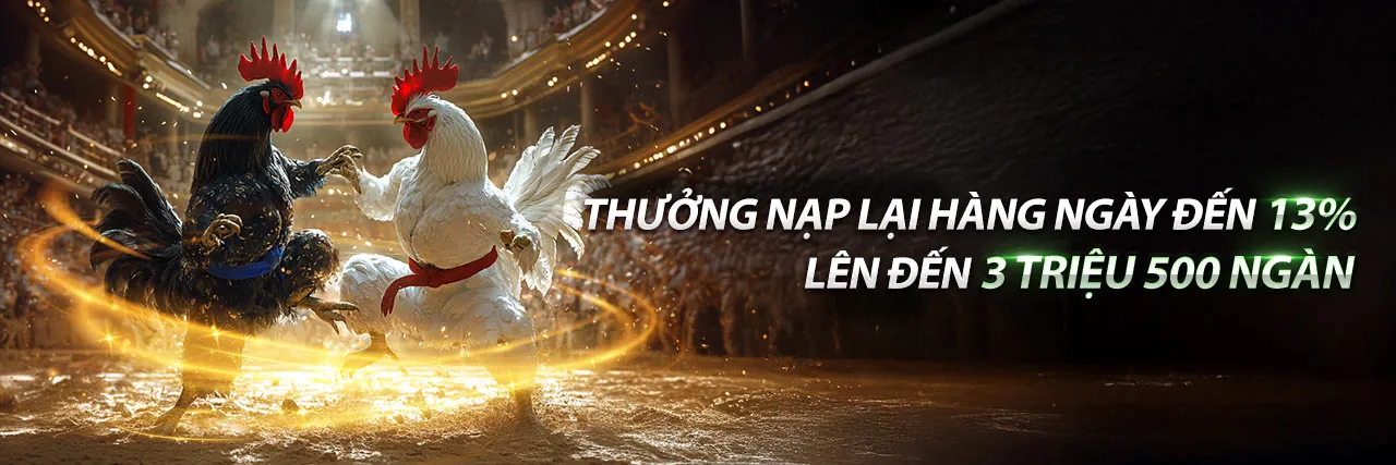 Hình ảnh giới thiệu WIN55 trang chủ chính thức